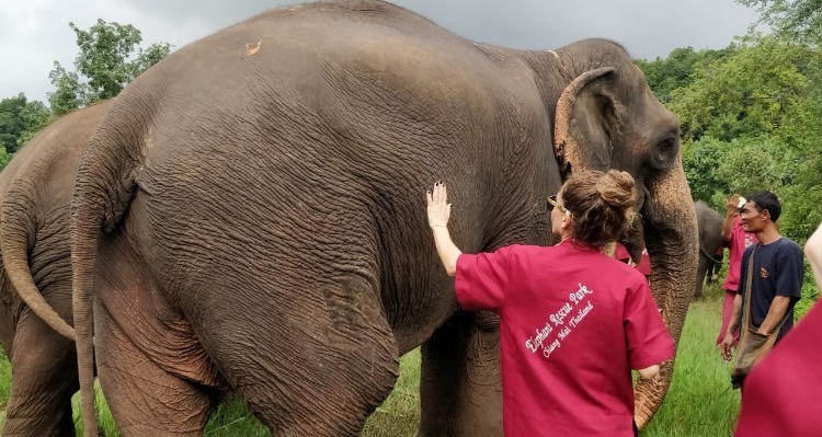 Phuket Elephant Sanctuary