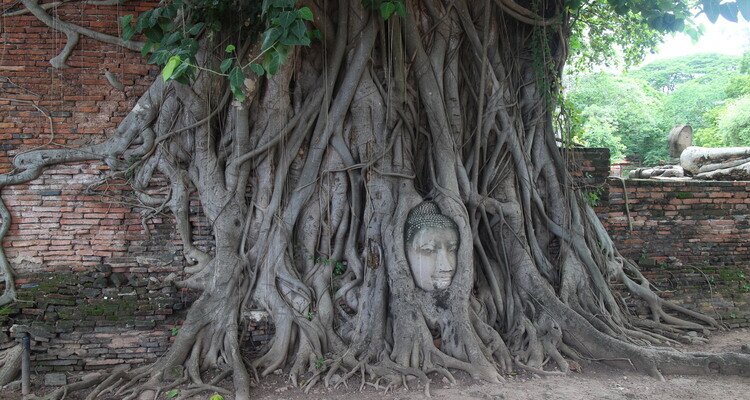 Wat Phra Mahathat
