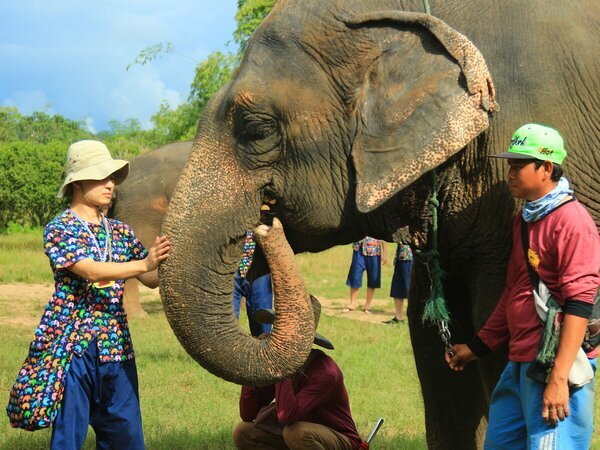 Kanta Elephant Sangtuary