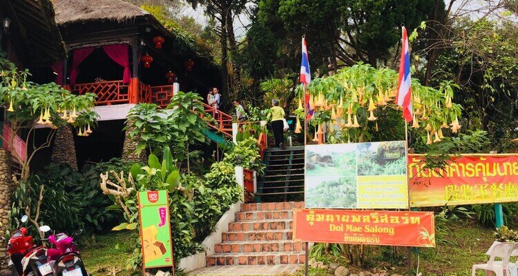 Doi Mae Salong Village