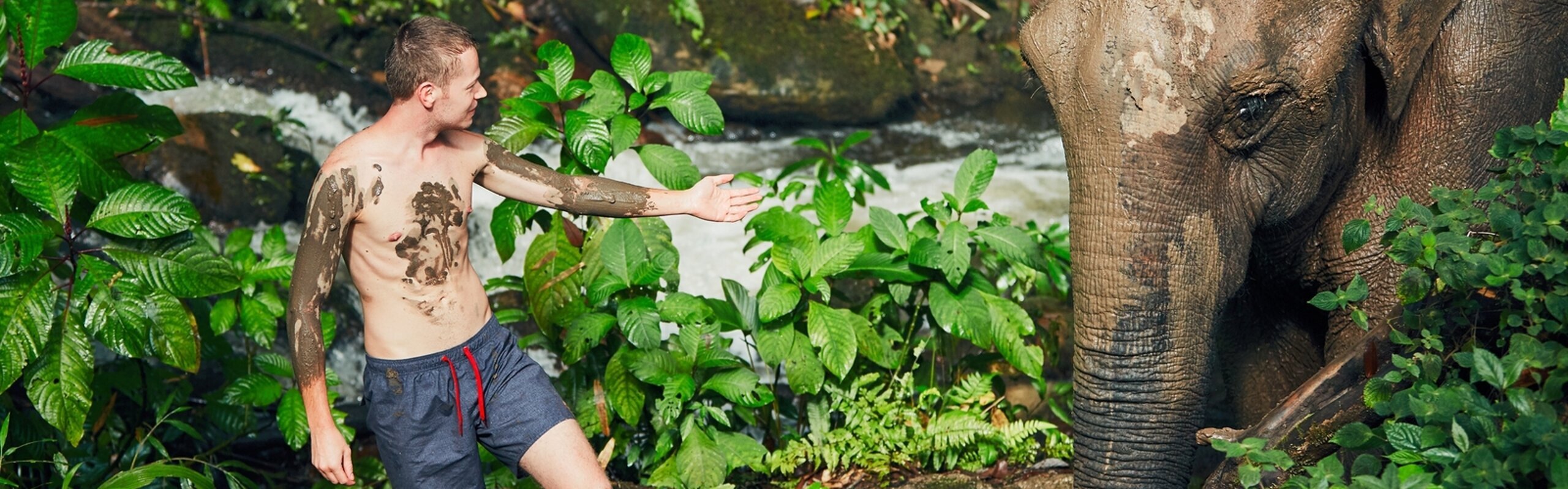 Which is the Best Elephant Sanctuary to Visit in Phuket?