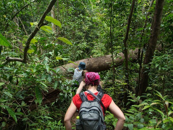 Khao Yai National Park