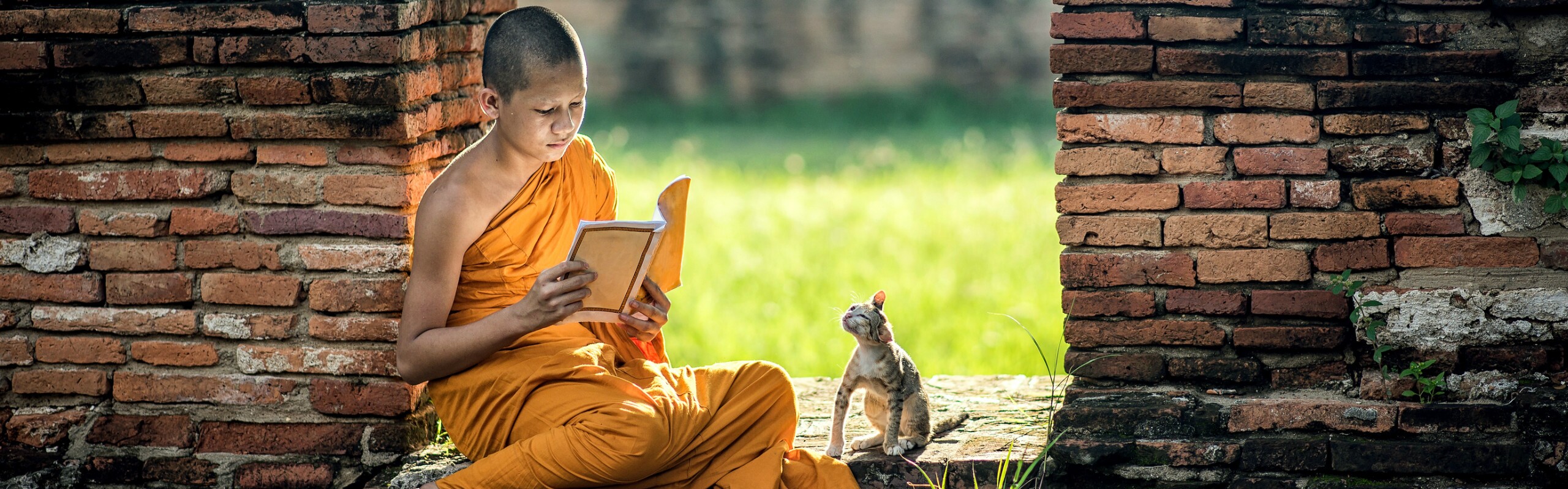 5-Day Essential Bangkok  Tour