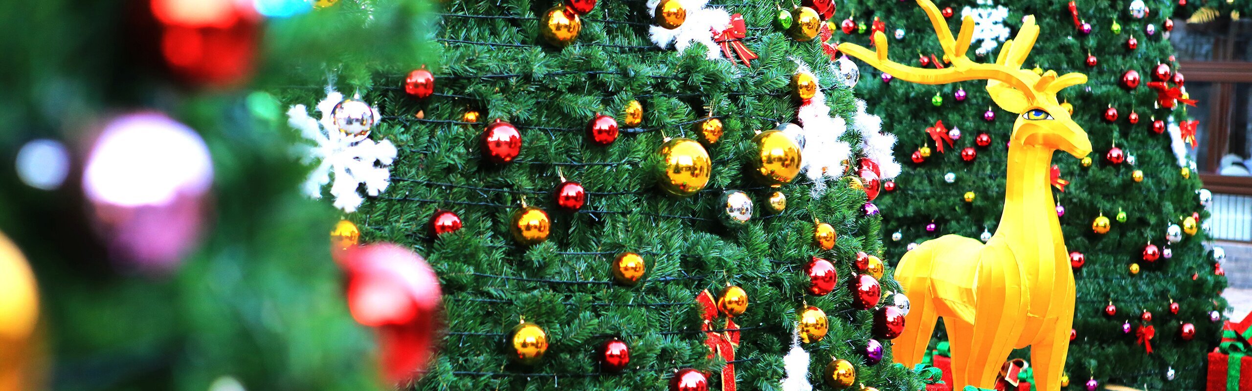 Best Places to Spend Christmas in Thailand