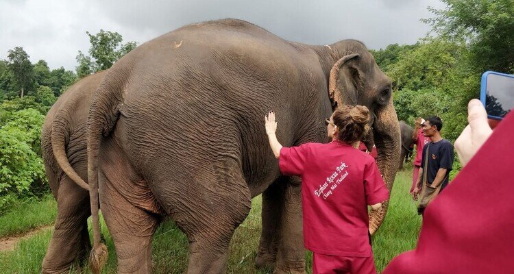 Elephant Sanctuary
