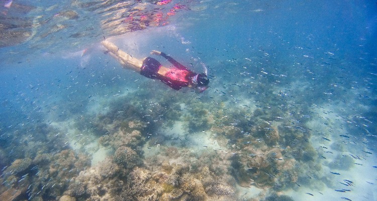 Snorkeling in phuket