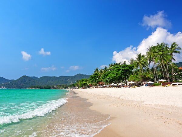 the beach of Koh Samui