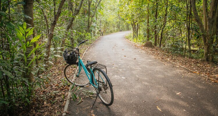 Cycle around Bang Krachao