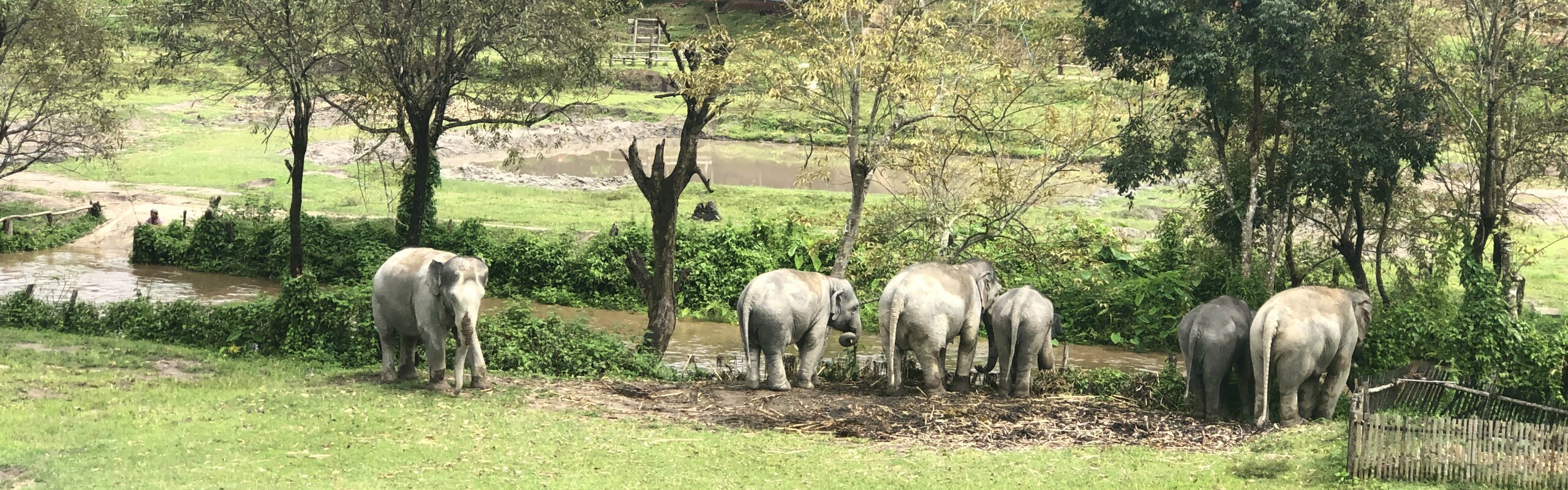 Bangkok in January 2026 [Weather? What to Wear? Things to Do?]