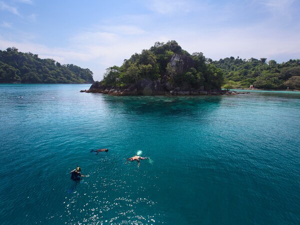 Dive and snorkel to discover the amazing underwater world.