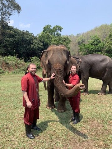 Have a close encounter with elephants in the best Chiang Mai elephant park.