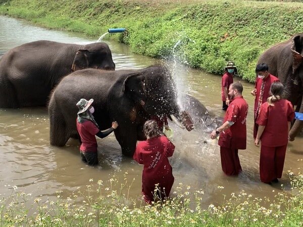 Elephant Care Experience