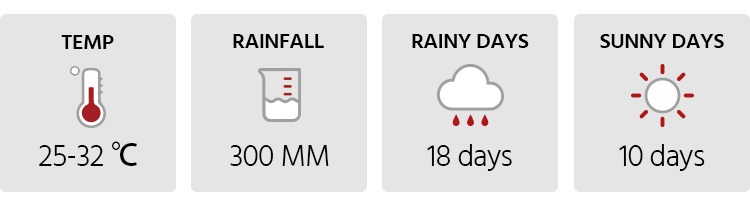 Weather in Phuket in July