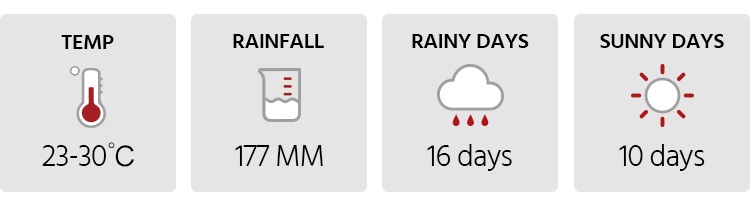 Weather in Phuket in November
