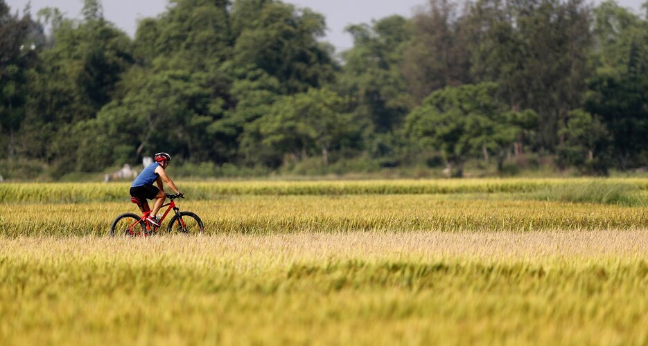 Biking among the Rice Field in the Countryside