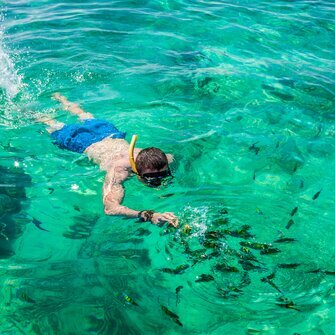 dive in Koh Tao