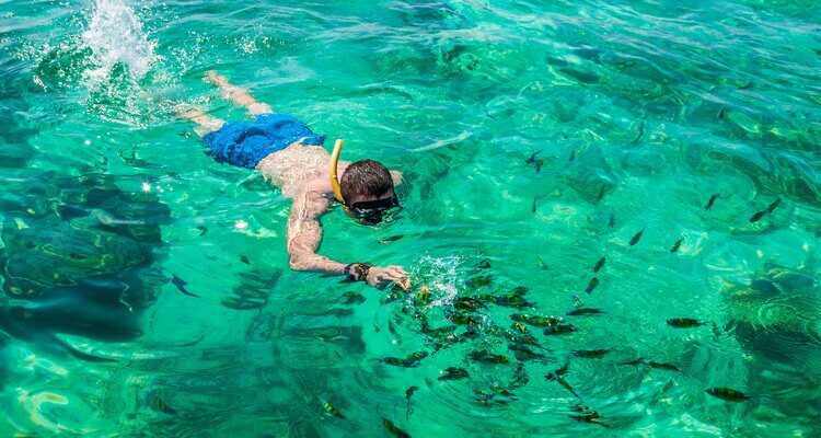 Snorkeling in Phi Phi islands