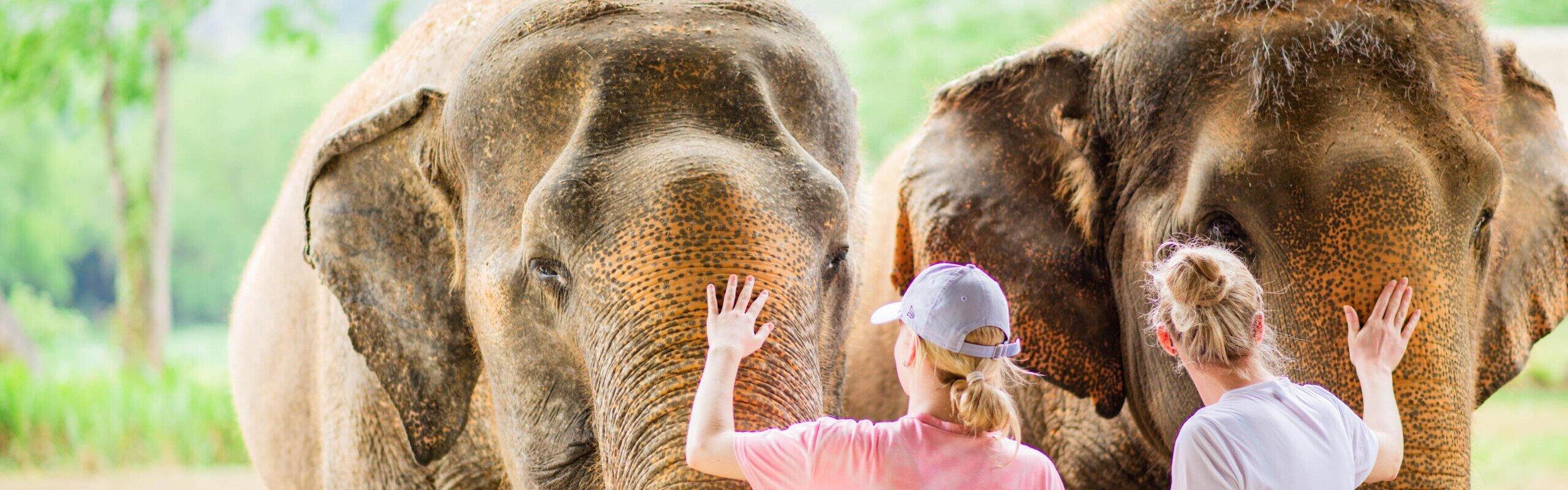 How to Plan a Perfect Family Trip to Thailand 2026