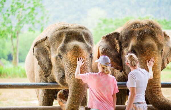 How to Plan a Perfect Family Trip to Thailand