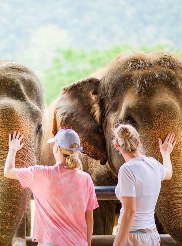 Family Journeys in Thailand