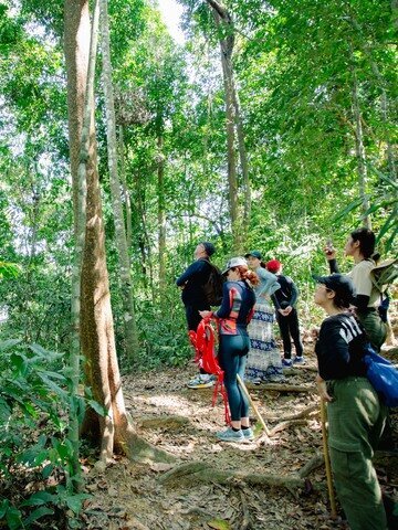 Trekking in Khao Sok National Park