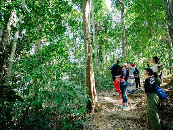 Khao Sok National Park