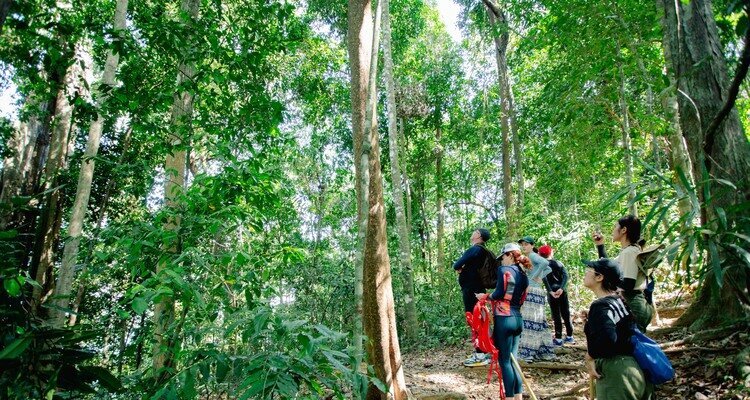 Elephant Hill-Jungle trek
