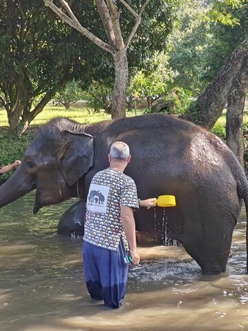 Meeting elephants in Chiang Mai