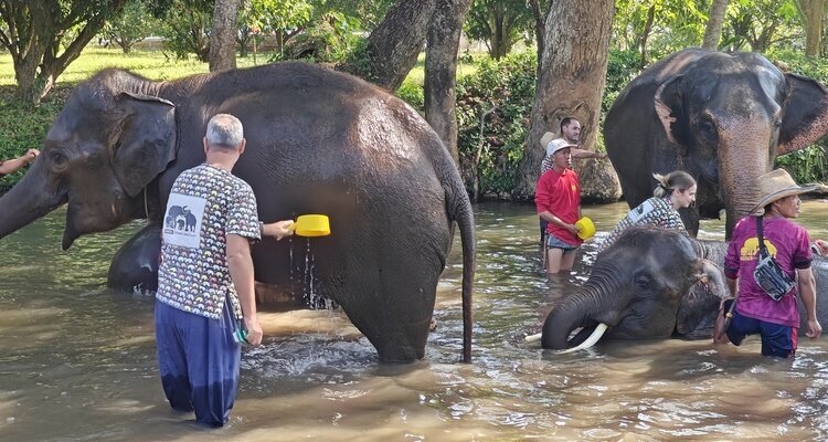 kanta elephant sanctuary