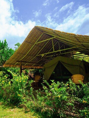Spend a night luxury glamping at The Bush Camp Chiang Mai.