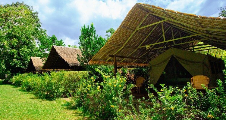 the luxury tented camp of Elephant Hill