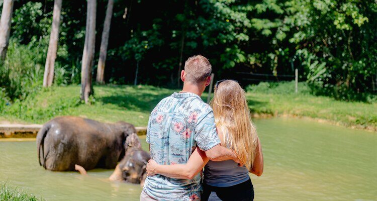 Elephant Hill elephant camp in khao sok