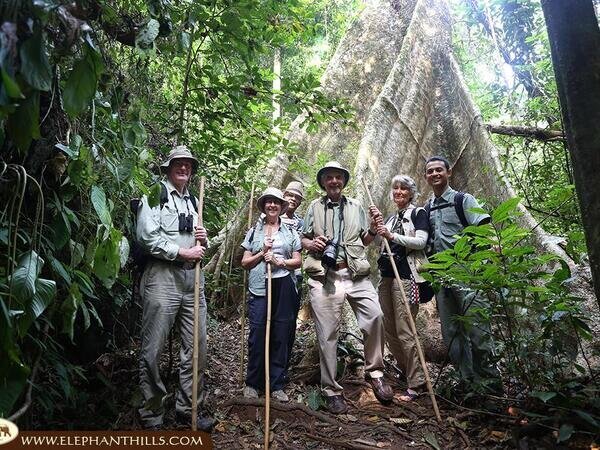 Go on a leisurely jungle trek.