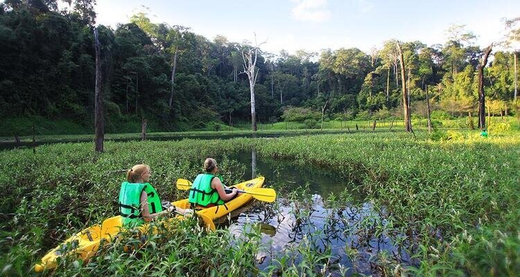 Kayaking through Khao Sok's jungle waterways