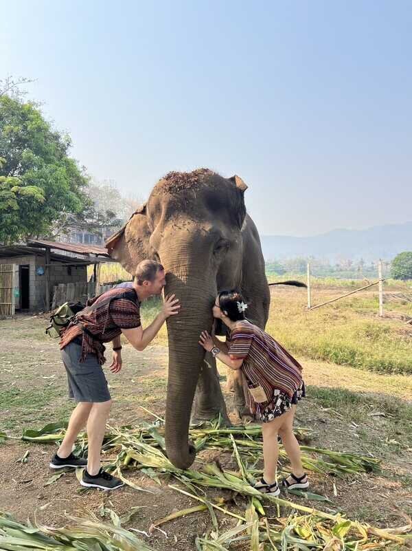 elephant experience