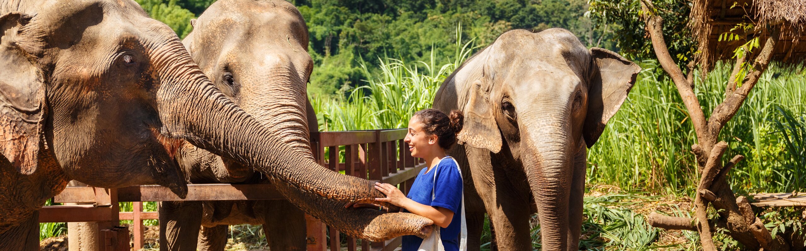 12-Day Thailand Wonders Tour