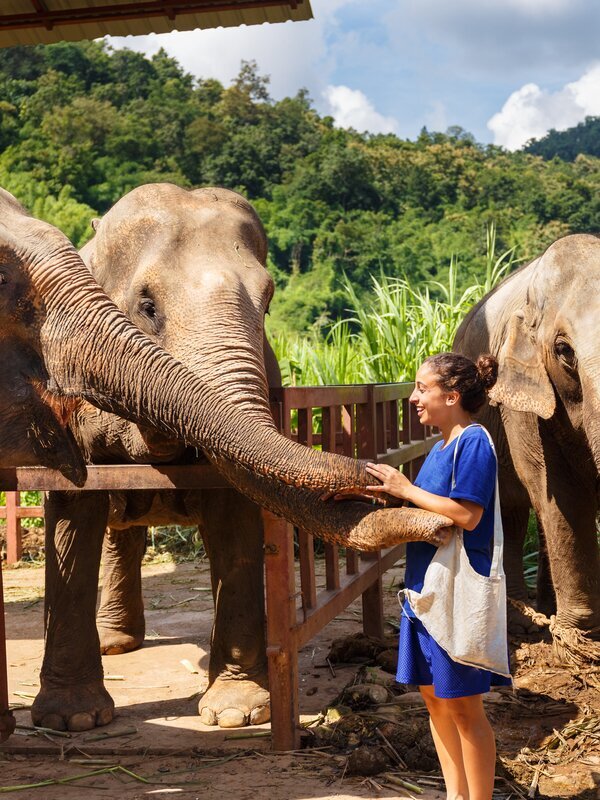 Visit Kanchanaburi for an elephant experience