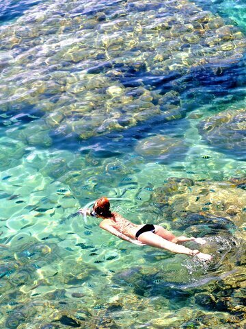 Snorkel amidst Koh Tao's most exquisite underwater scenery with a kaleidoscope of color and life.