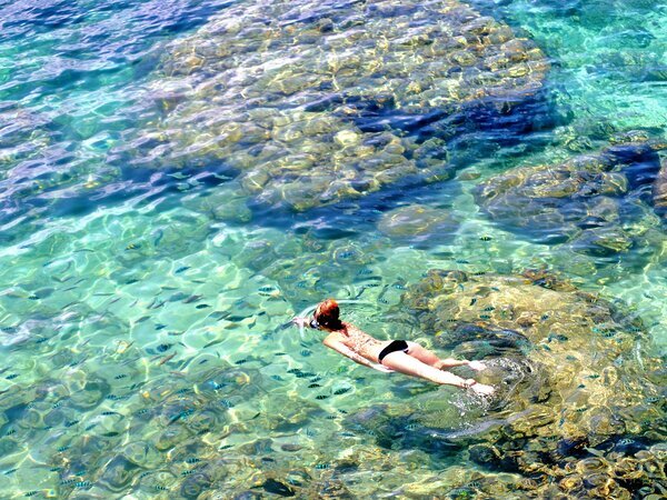 snorkeling at Koh Tao