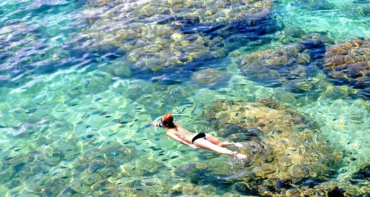 snorlking in koh tao