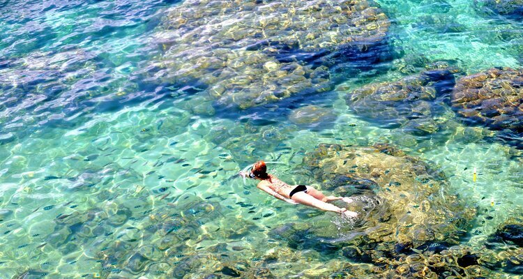 snorlking in koh tao