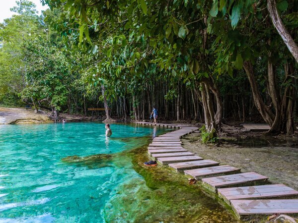 Krabi Emerald Pool and Jungle Hot Springs