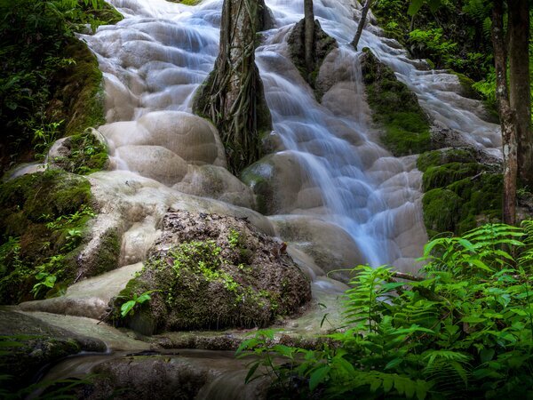 Sticky Waterfall