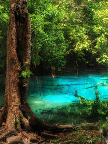 Emerald Pool on Krabi Island