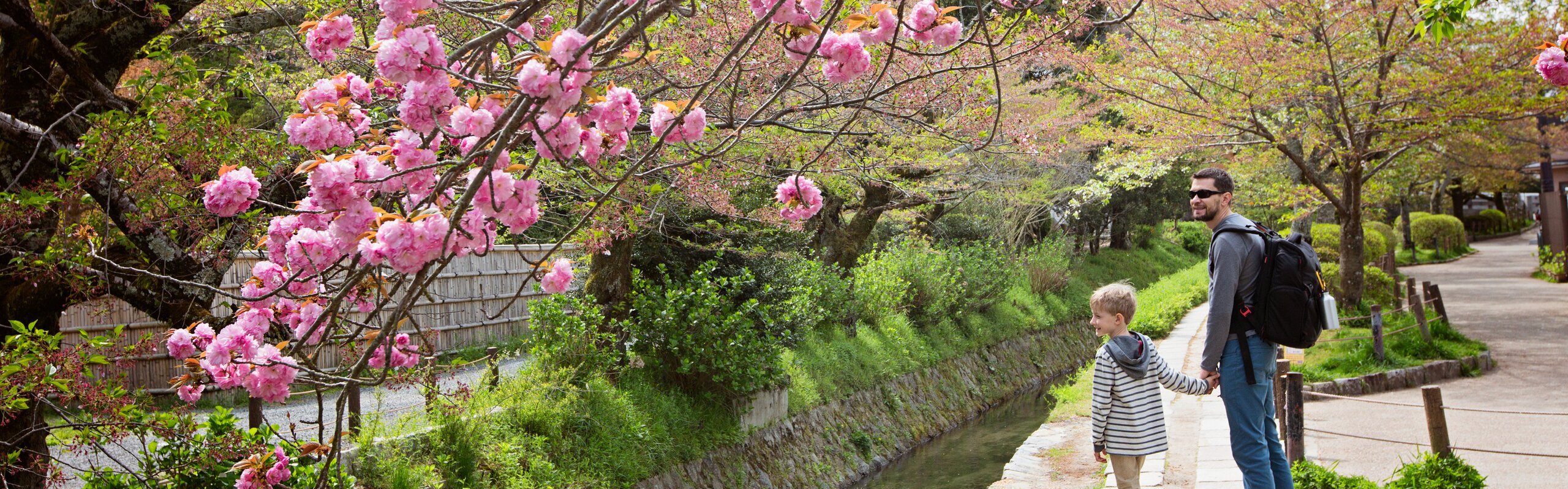 Terms and Conditions