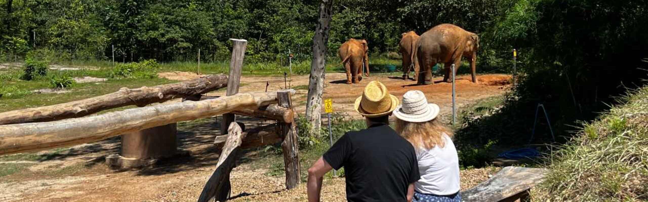 What is the Best Elephant Sanctuary in Thailand? (6 True Ethical)