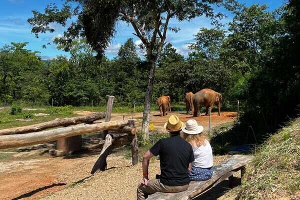 chiang mai elephant experience