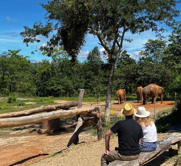 What is the Best Elephant Sanctuary in Thailand? (6 True Ethical)