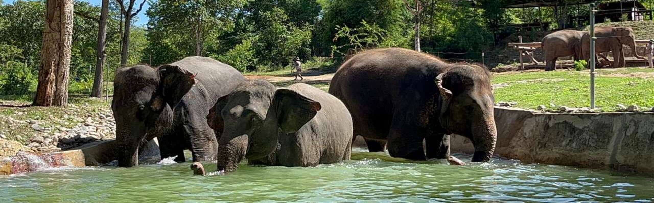 Chiang Mai in December: Weather, Festivals & Crowds