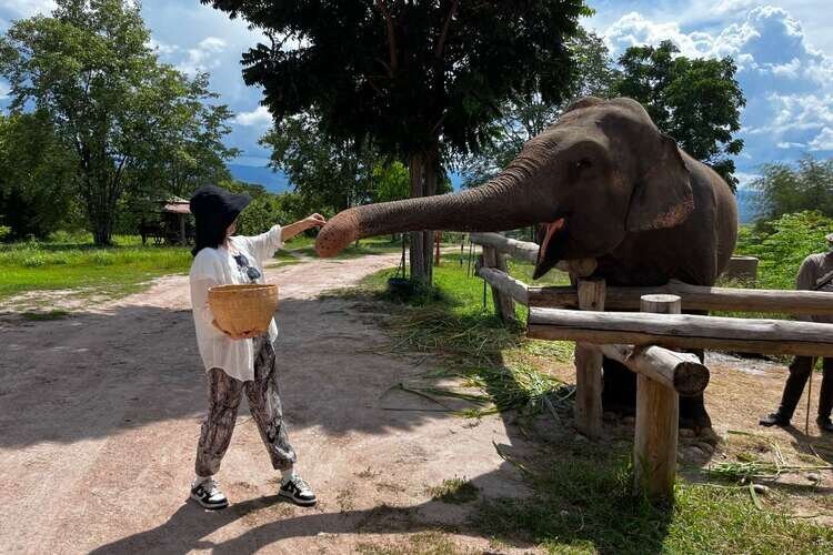 Chiang Mai in September